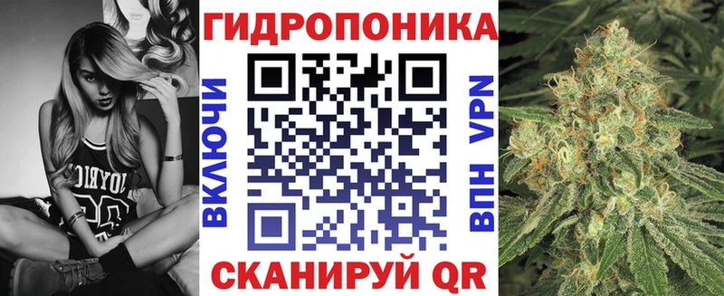 Альфа ПВП Сосногорск