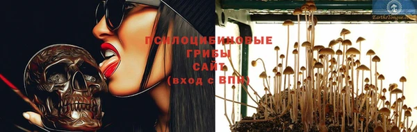 амф Бронницы